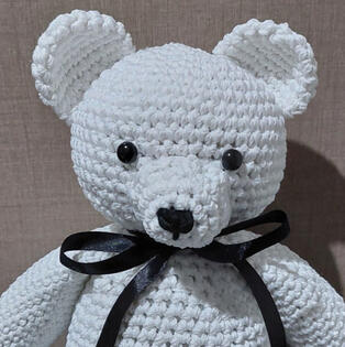 Marsbear Marsbear