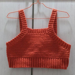 Crochet Crop Top Crochet Crop Top
